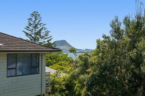Photo of property in 14 Shearman Grove, Tauranga South, Tauranga, 3112
