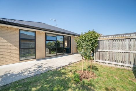 Photo of property in 552 Church Street, Terrace End, Palmerston North, 4410