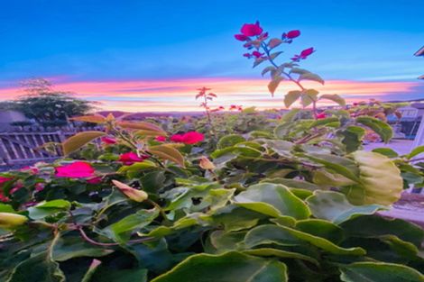 Photo of property in 1 Bangla Place, Massey, Auckland, 0614