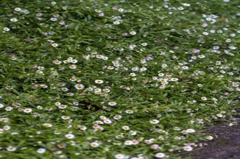 Photo of property in 20 Muscat Place, Henderson, Auckland, 0612