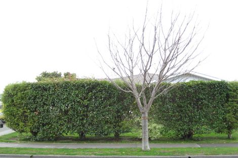 Photo of property in 52 James Foley Avenue, Pirimai, Napier, 4112