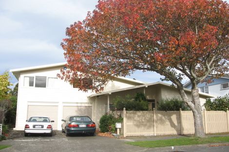 Photo of property in 20 Orr Crescent, Hutt Central, Lower Hutt, 5011