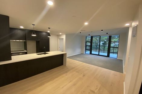 Photo of property in 409/8 Kingsland Terrace, Kingsland, Auckland, 1021