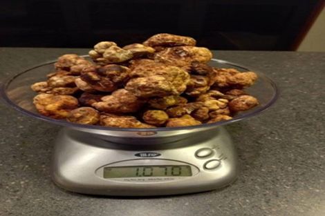 Photo of property in 118 Lachlan Avenue, Hawea Flat, Wanaka, 9382