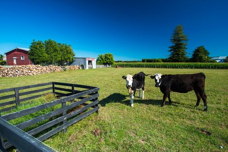 Photo of property in 13 Makaraka Road, Makaraka, Gisborne, 4071