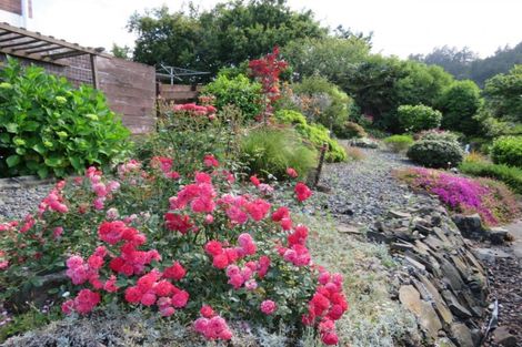 Photo of property in 105 Kingsford Place, Thames, 3500