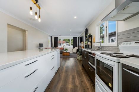 Photo of property in 33 Camden Street, Feilding, 4702