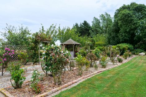 Photo of property in 396 Waipopo Road, Seadown, Timaru, 7973