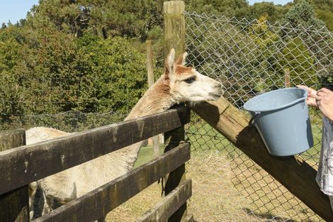 Photo of property in 452 Poripori Road, Lower Kaimai, Tauranga, 3171