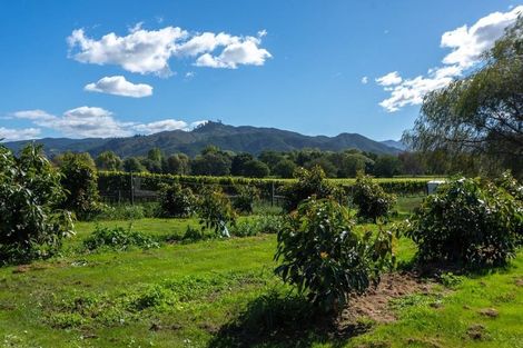 Photo of property in 189 Selmes Road, Rapaura, Blenheim, 7273