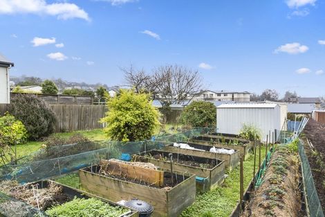 Photo of property in 46 Shetland Street, Wakari, Dunedin, 9010