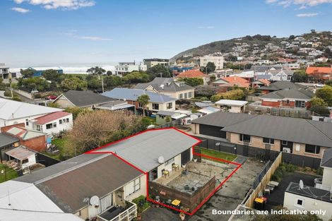 Photo of property in 58c Albert Street, Saint Clair, Dunedin, 9012