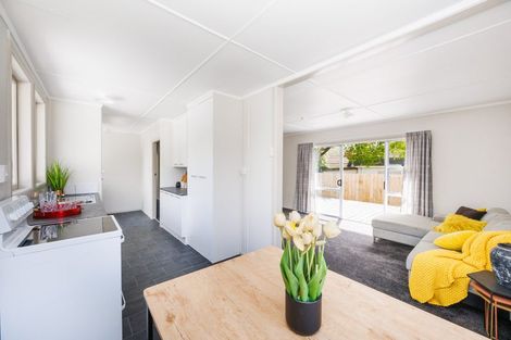 Photo of property in 66a Ruamahanga Crescent, Terrace End, Palmerston North, 4410