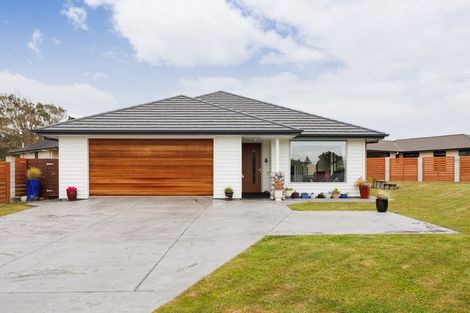 Photo of property in 8 Hanalin Drive, Marton, 4710