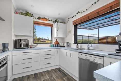 Photo of property in 213a Letts Gully Road, Letts Gully, Alexandra, 9393