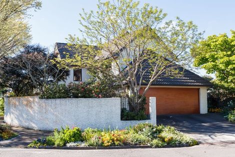 Photo of property in 120 Fitzroy Street, Terrace End, Palmerston North, 4410