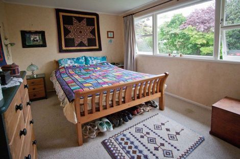 Photo of property in 49 Worcester Street, Ashhurst, 4810