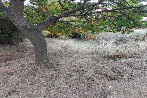 Photo of property in 46 Auskerry Street, Palmerston, 9430