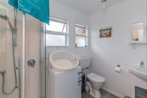 Photo of property in 21 Martin Harvey Street, Levin, 5510