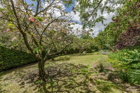 Photo of property in 41 Tuakau Road, Pukekohe, 2120