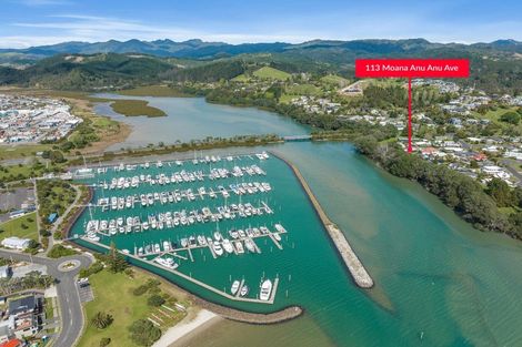 Photo of property in 113 Moana Anu Anu Avenue, Whangamata, 3620