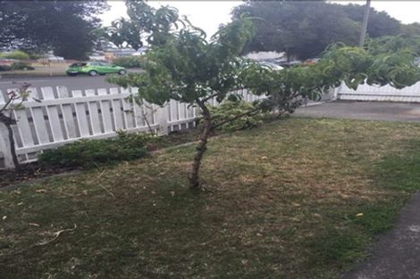 Photo of property in 90 Munroe Street, Napier South, Napier, 4110