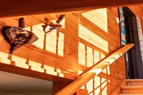 Photo of property in 17 Sunbrae Grove, Mount Maunganui, 3116