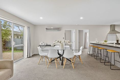 Photo of property in 117a Ruskin Street, Addington, Christchurch, 8024