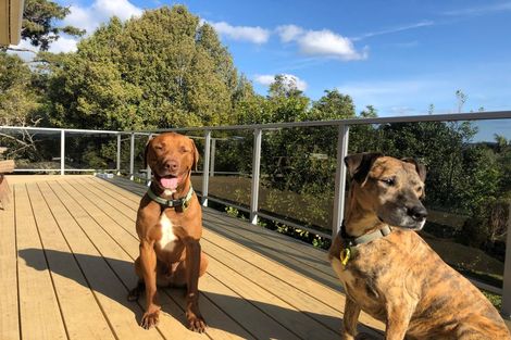 Photo of property in 34 Attwood Street, Tamaterau, Whangarei, 0174