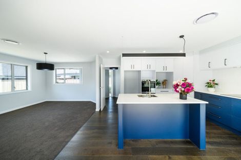 Photo of property in 163a Denbigh Street, Feilding, 4702