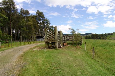 Photo of property in 128 Pond Road, Raglan, 3295