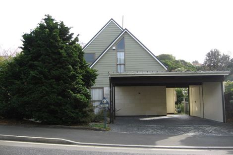 Photo of property in 37b Littlebourne Road, Roslyn, Dunedin, 9010