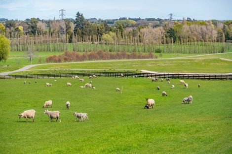Photo of property in 10 Kapuka Lane, Kennedys Bush, Christchurch, 8025