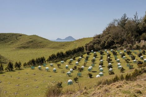 Photo of property in 230b Withy Road, Manawahe, Whakatane, 3193