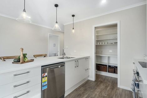 Photo of property in 80 Hinemoa Street, Levin, 5510