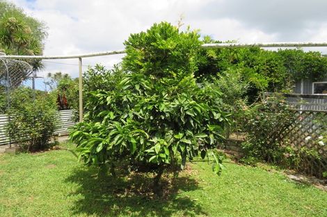 Photo of property in 244 Tinopai Road, Matakohe, 0593