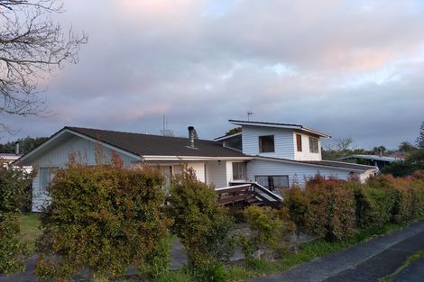 Photo of property in 29 Preston Avenue, Henderson, Auckland, 0610