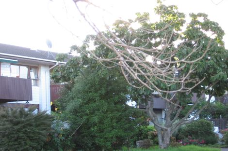 Photo of property in 1/50 Asquith Avenue, Mount Albert, Auckland, 1025