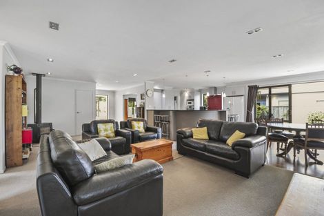 Photo of property in 171 Taylor Pass Road, Witherlea, Blenheim, 7201