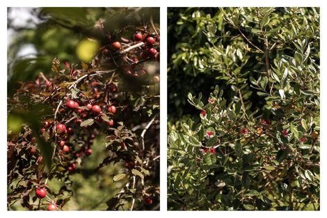 Photo of property in 22a Ngati Maru Sh25 Highway, Kopu, Thames, 3578