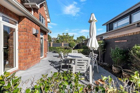 Photo of property in 24 The Mews, Shamrock Park, Auckland, 2016
