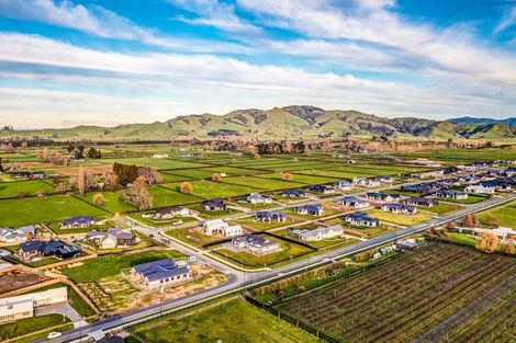 Photo of property in 24 Catalyst Avenue, Leamington, Cambridge, 3432