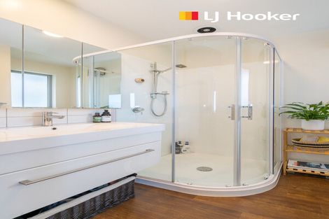 Photo of property in 2d Belford Street, Waverley, Dunedin, 9013