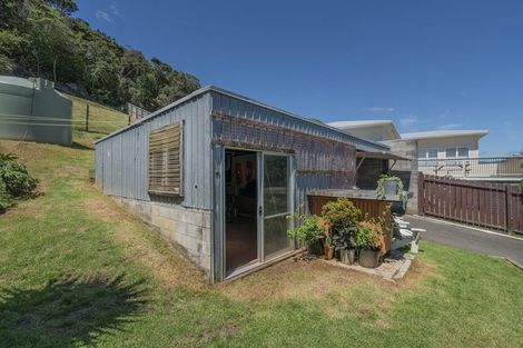 Photo of property in 1139 Purangi Road, Ferry Landing, Whitianga, 3591