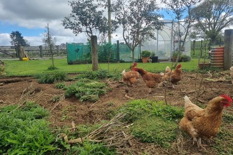 Photo of property in 1089 Mairoa Road, Mangaotaki, Piopio, 3971