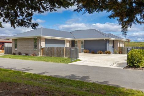 Photo of property in 142 Taylor Pass Road, Witherlea, Blenheim, 7201