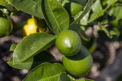 Photo of property in 1 Aqua Way, Paraparaumu, 5032