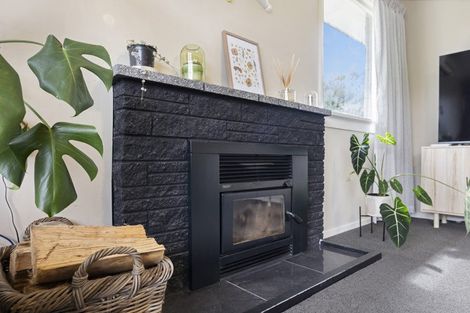 Photo of property in 485 Kaikorai Valley Road, Bradford, Dunedin, 9011