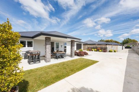 Photo of property in 15b Chamberlain Street, Feilding, 4702