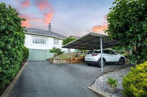 Photo of property in 102 Edward Street, Thames, 3500